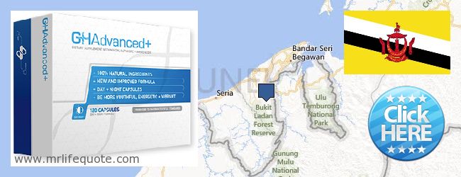 حيث لشراء Growth Hormone على الانترنت Brunei